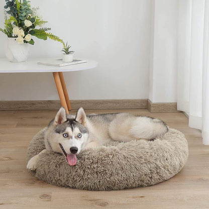 Orthopädisches Hundebett XXL – Waschbar & Kuschelig