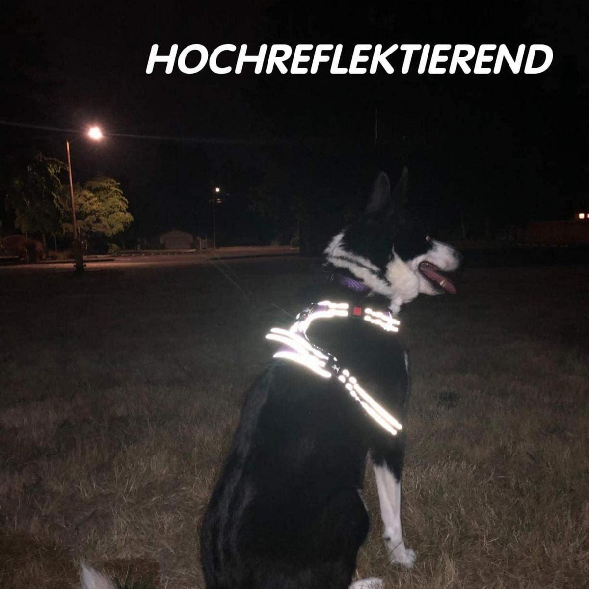 PoyPet Kein Zieh-Hundegeschirr Kariertes Rot M
