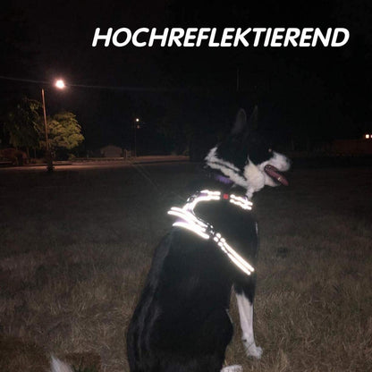 PoyPet Kein Zieh-Hundegeschirr Kariertes Rot M
