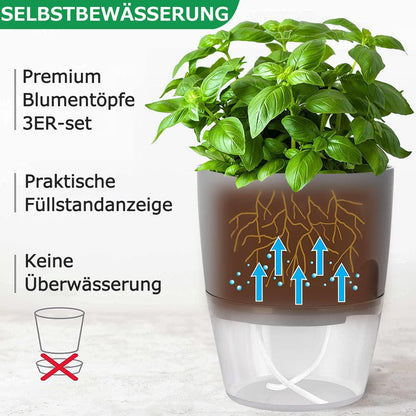 Selbstbewässernder Kräutertopf 3er Set für Küche und Fensterbank