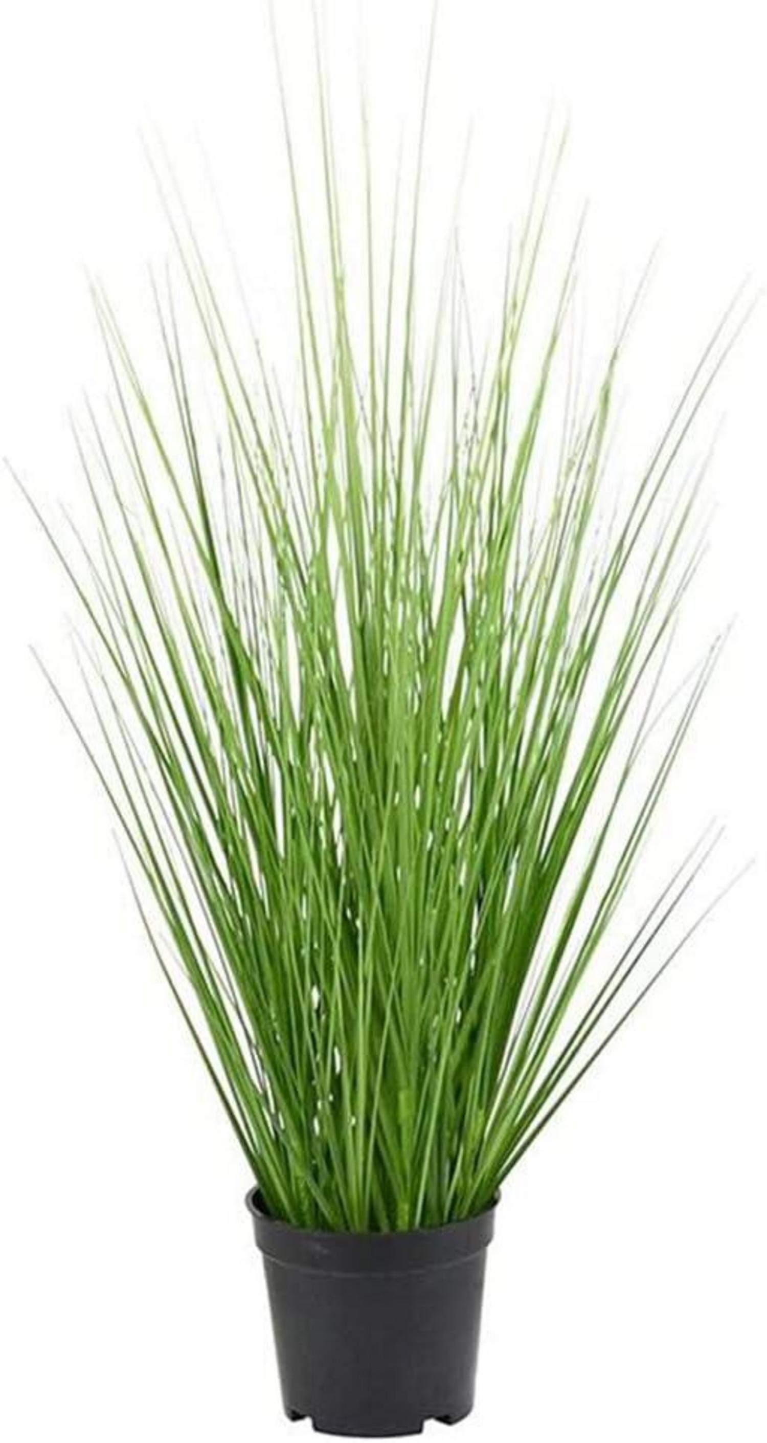 Künstliches dekoratives Gras in Grün Topf 60cm - Pflanze für Heim