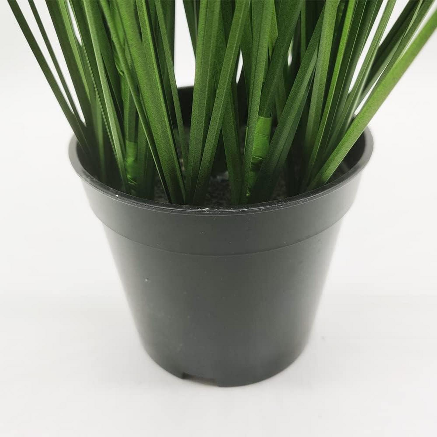 Künstliches dekoratives Gras Grün Topf 60cm für Heimbüro Gartendekoration