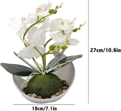 Künstliche Orchideenblüte Phalaenopsis mit weißem Topf 27 cm