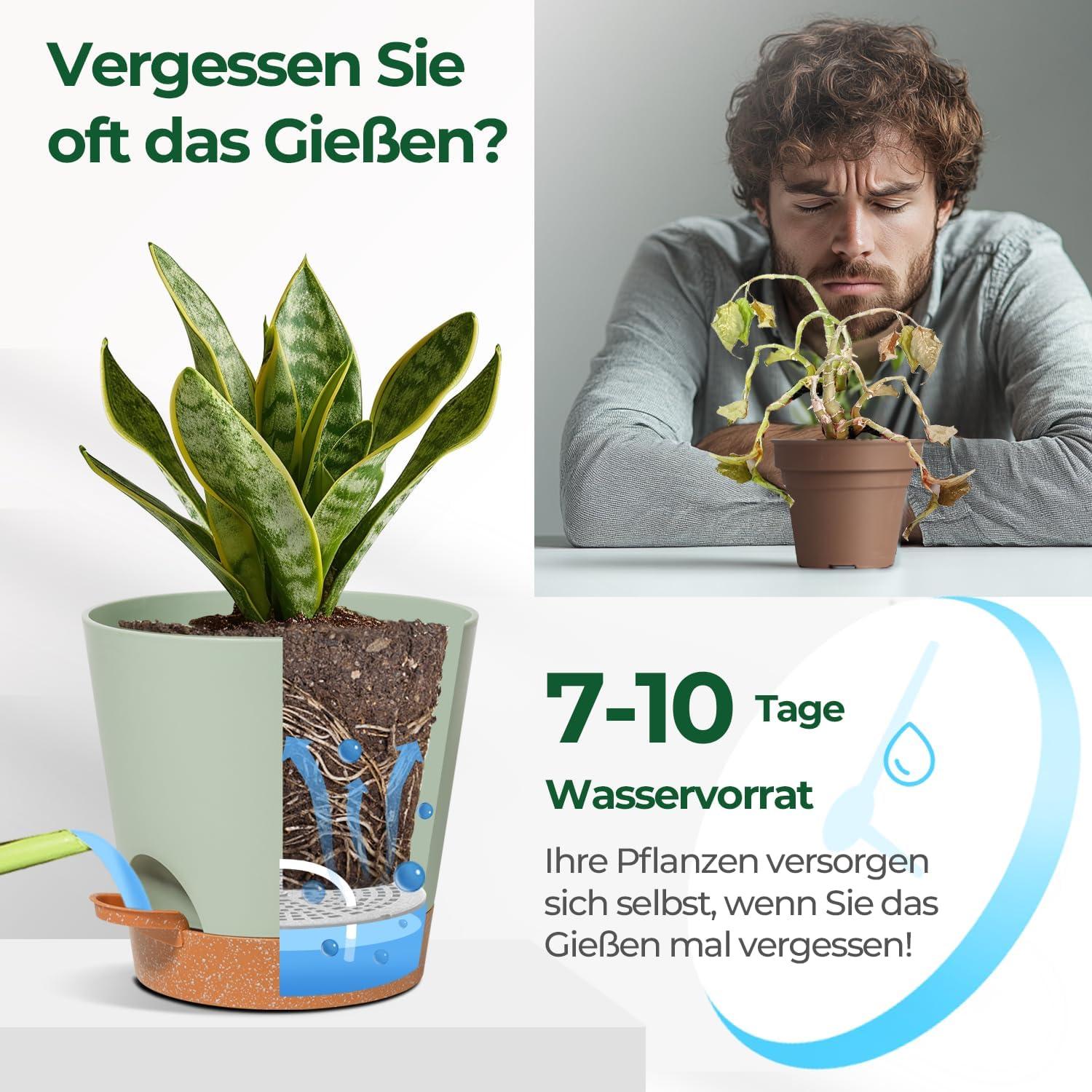 T4U 14cm Blumentopf mit Selbstbewässerung, 3er-Set für Sukkulenten, Kakteen, Grün