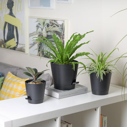 T4U 16,5cm Kunststoff Blumentopf 6er-Set Selbstbewässerung Schwarz