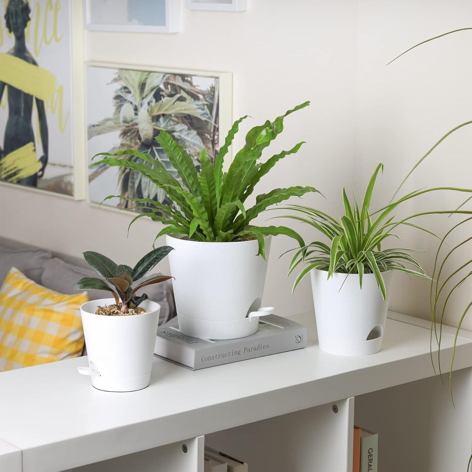 T4U 14cm Selbstbewässerung Blumentopf 6er-Set Weiß für Sukkulenten Kaktus