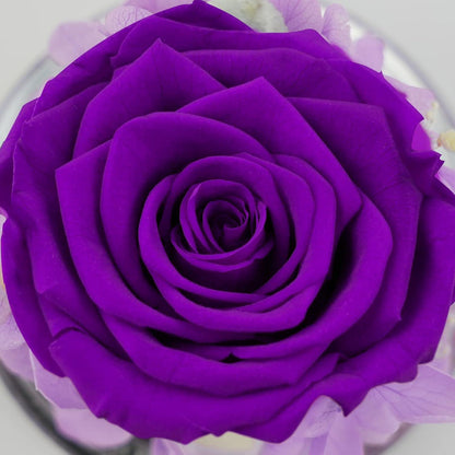 Ewige Rose Engel Figur Glaskuppel Rote Rose Muttergeschenk