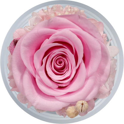 Ewige Rose Engel Glaskuppel Muttertagsgeschenk Frauen Oma