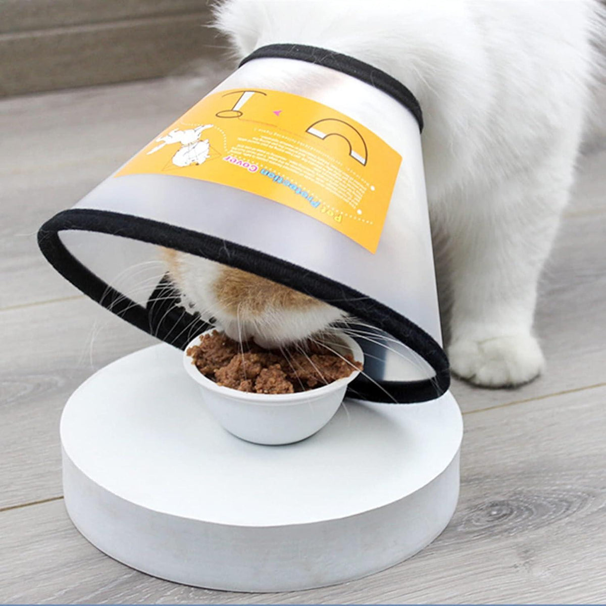 Verstellbares Hundekegel Halsband Anti Bite Schutzkragen