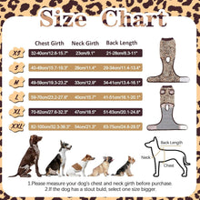 Hundebody OP Katzenbody Kastration Rüde Braun 2XL