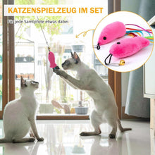 Katzenspielzeug Set 11: Angel mit Feder für Kitten