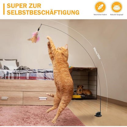 Katzenspielzeug Set 11: Angel mit Feder für Kitten
