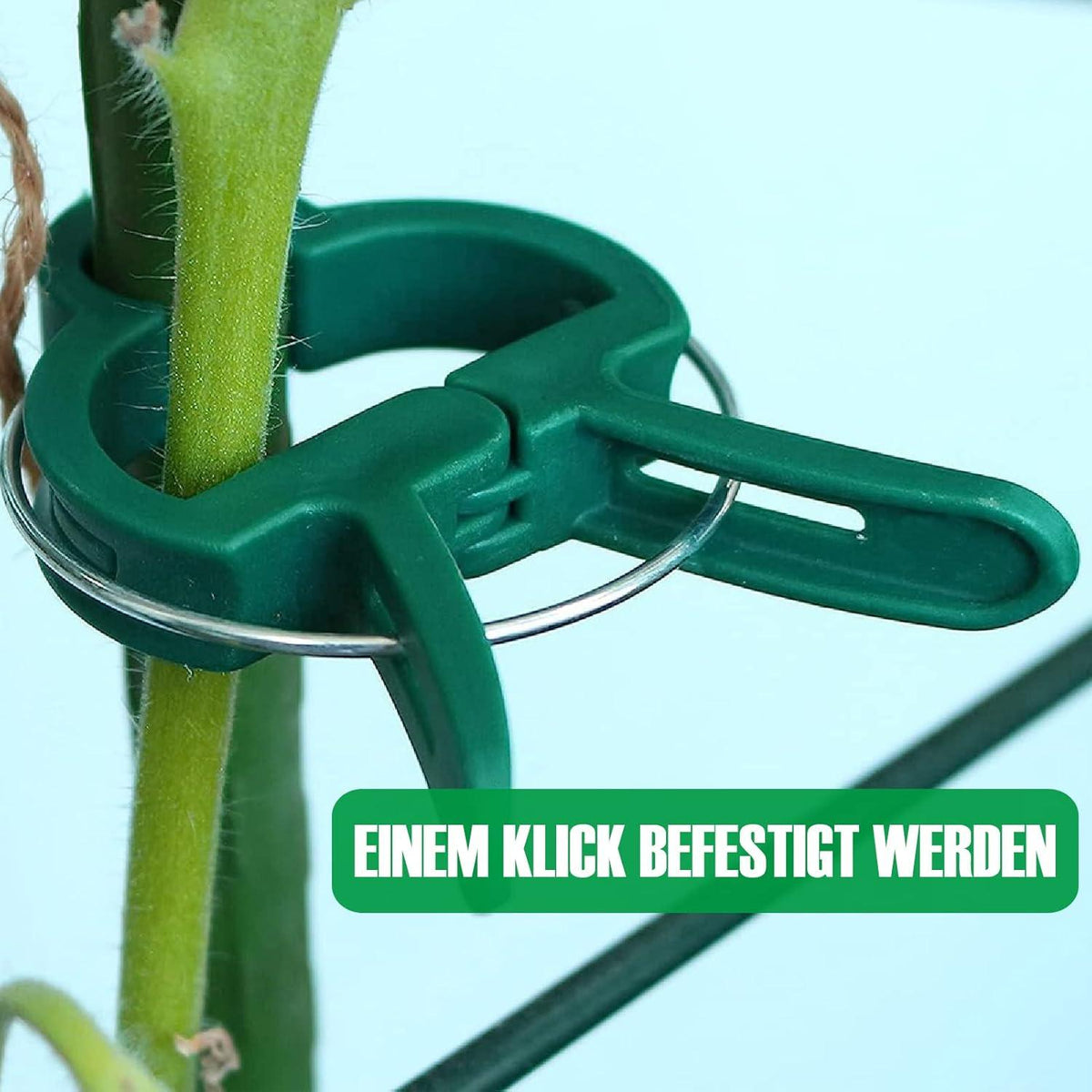 Pflanzenclips für Tomaten Gurken Kletterrosen 96 Stück Ranking Klammer
