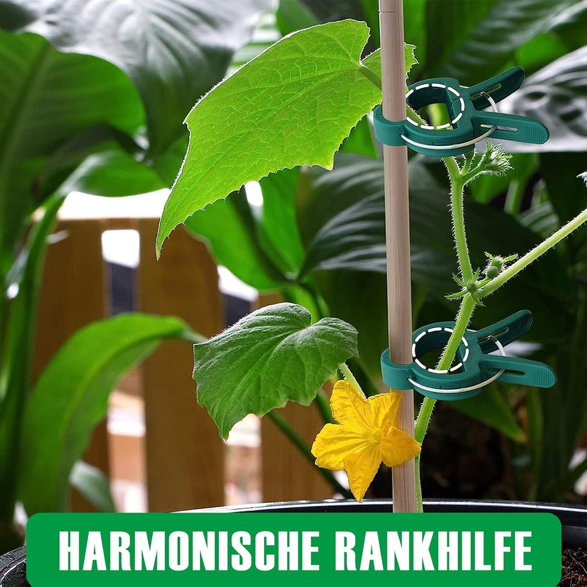 96 Stück Pflanzenclips für Tomaten Gurken Rosen Rankpflanzen Stabil