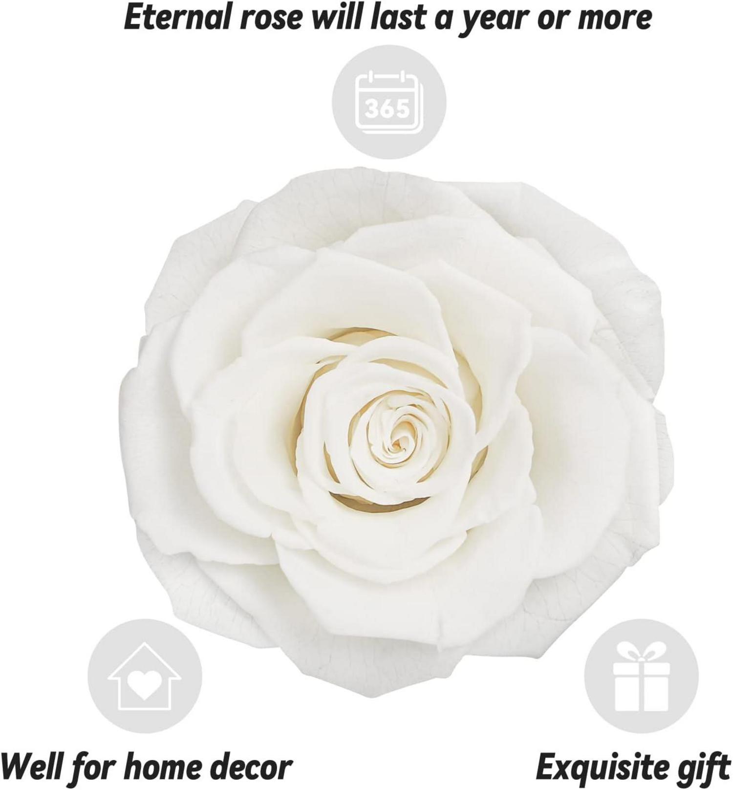 Ewige echte Rose mit I Love You Halskette Geschenkbox