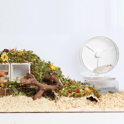Leises Hamster-Laufrad 17 cm für kleine Haustiere weiß robust & höhenverstellbar