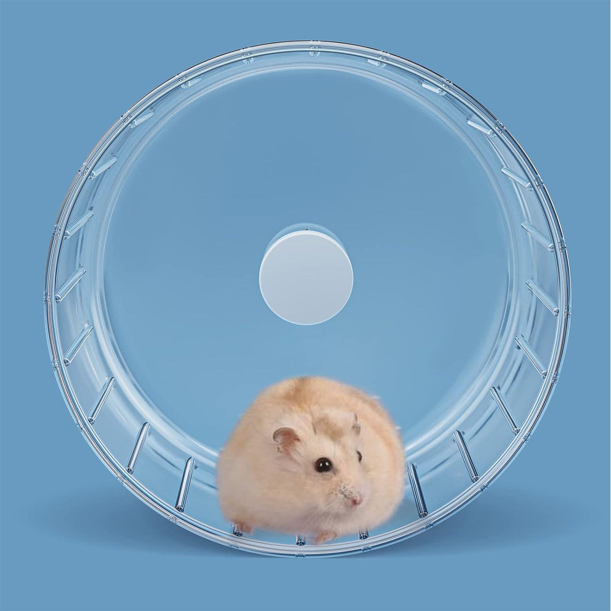 18cm Hamsterrad Laufrad leise transparent Hamster Spielzeug für Kleintier
