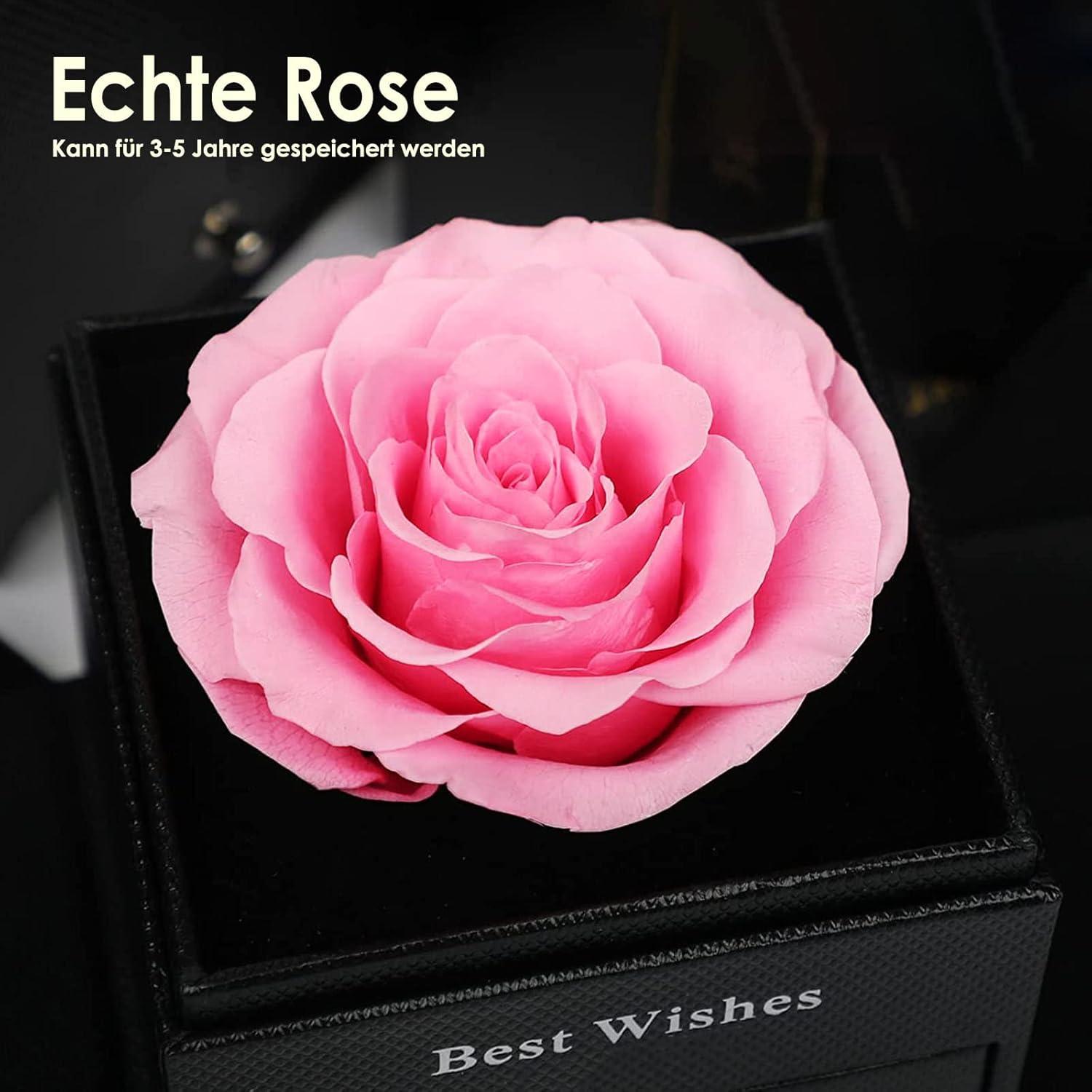 Ewige Rose Infinity Rosen Kette Geschenkbox Valentinstag