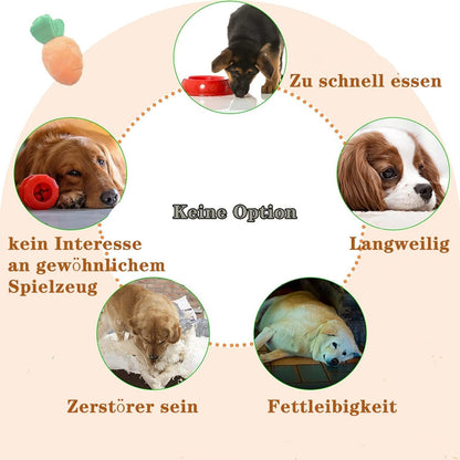 Intelligenzspielzeug Hund Interaktives Schnüffelteppich Gemüse