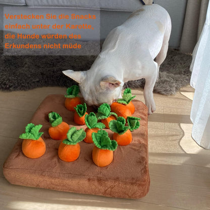Celawork Schnüffelteppich Hundespielzeug Plüsch Karotte Gemüse 100% Sicher & Leicht zu Reinigen