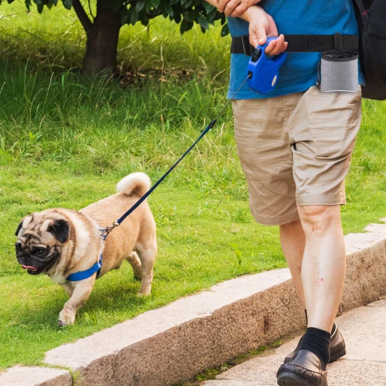 Yoosso Hundetraining Leckerlibeutel mit Kotbeutelspender, verstellbare Futtertasche