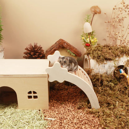 Hamster-Kletterleiter Holz Kletterspielzeug Brücke für kleine Tiere