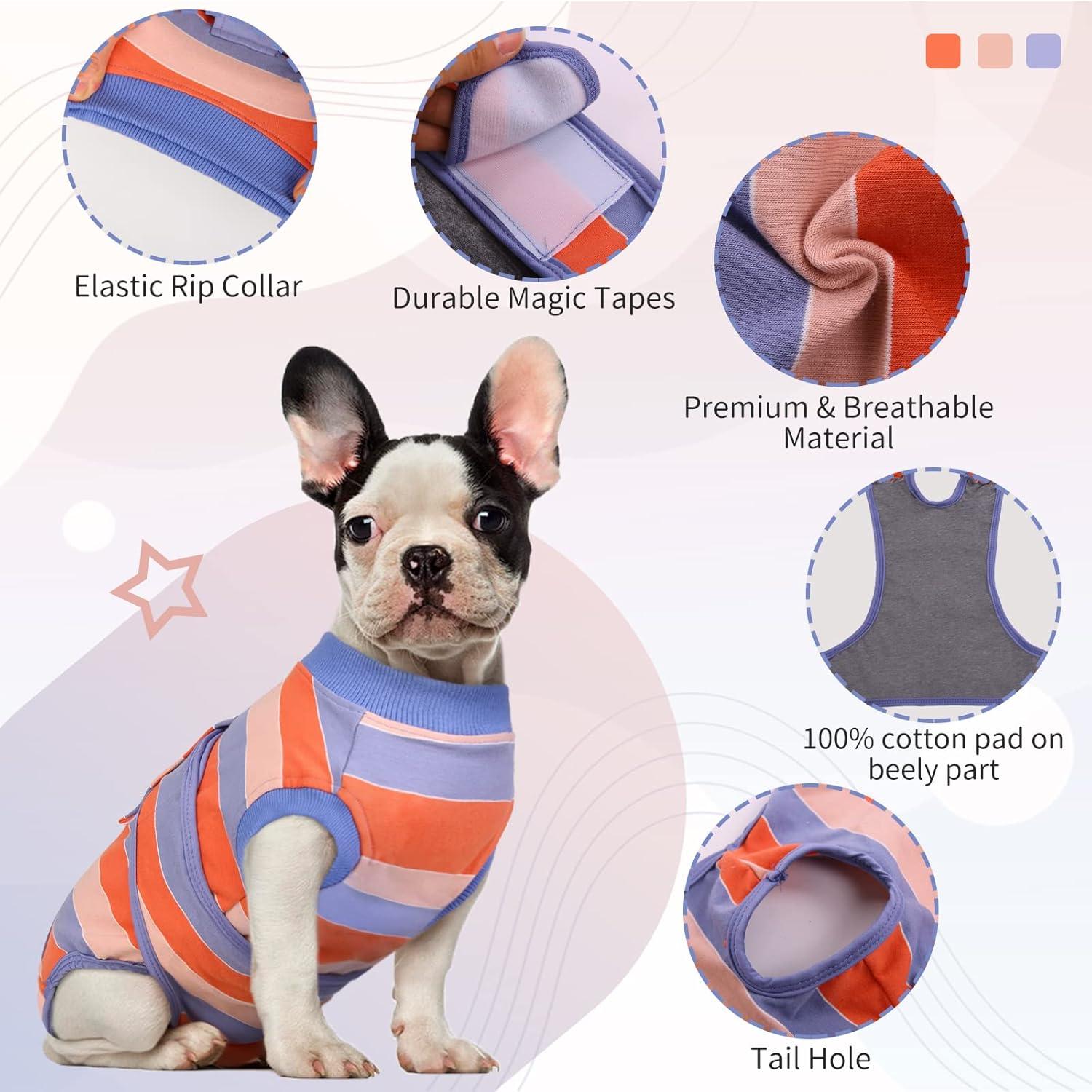 Hundebody nach Operation Kastration Rüde Hündin 50-60cm Blau Orange