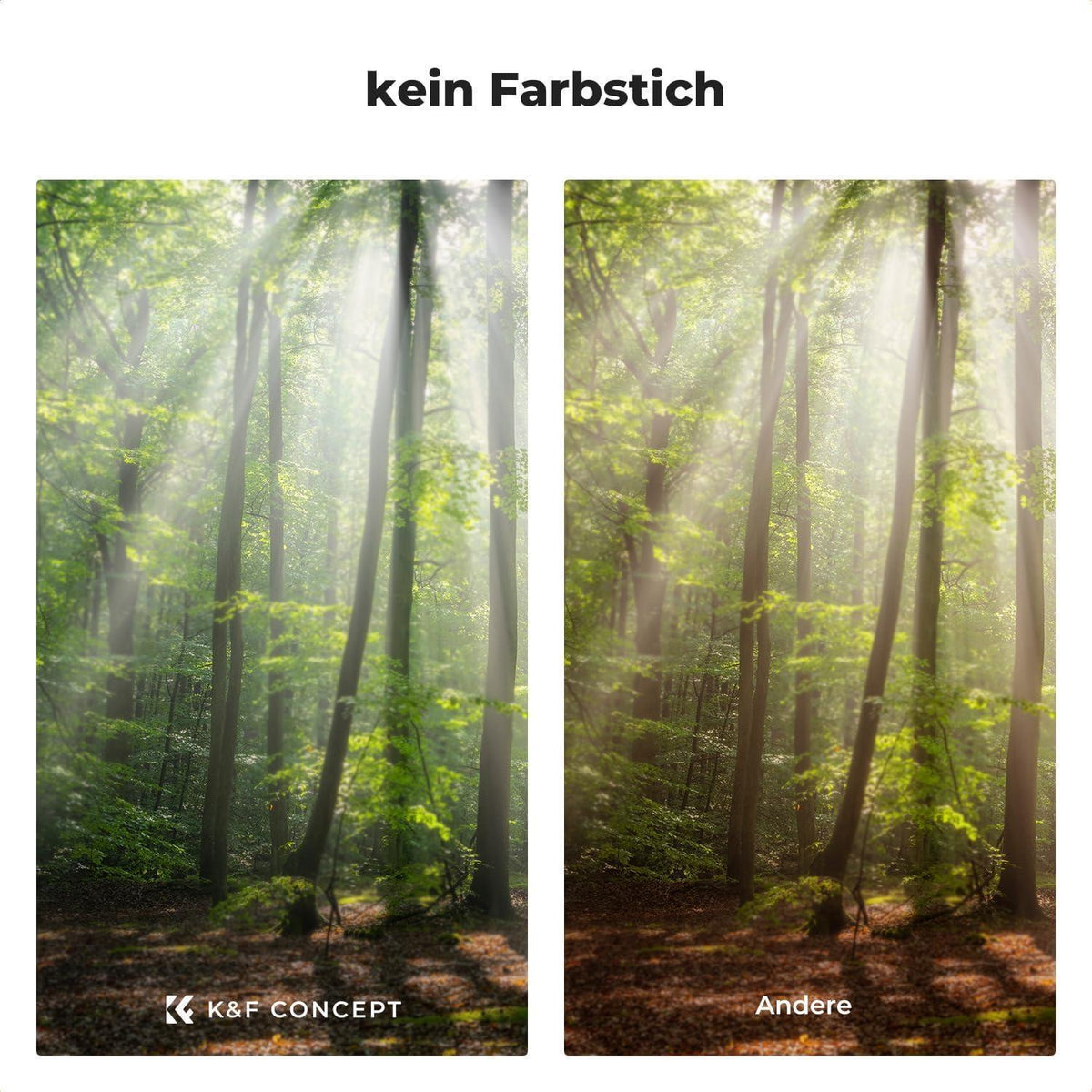 Black Mist Filter Set 67mm – Video & Portrait