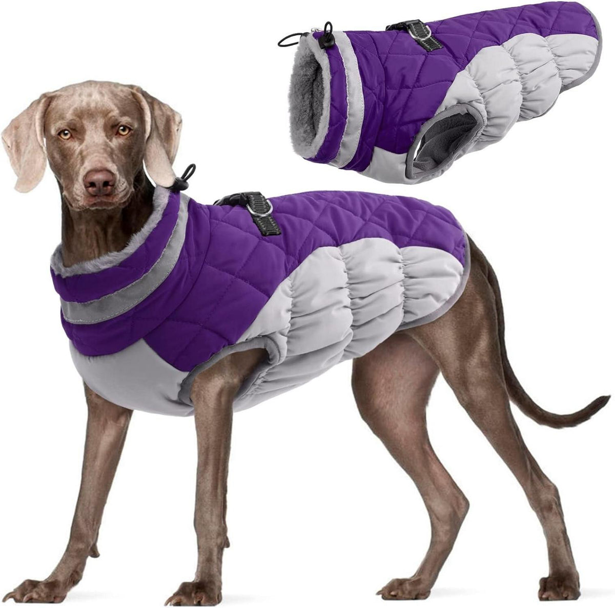 Wasserdichter Hundemantel Winterjacke für Hunde Fleece Gefüttert Lila