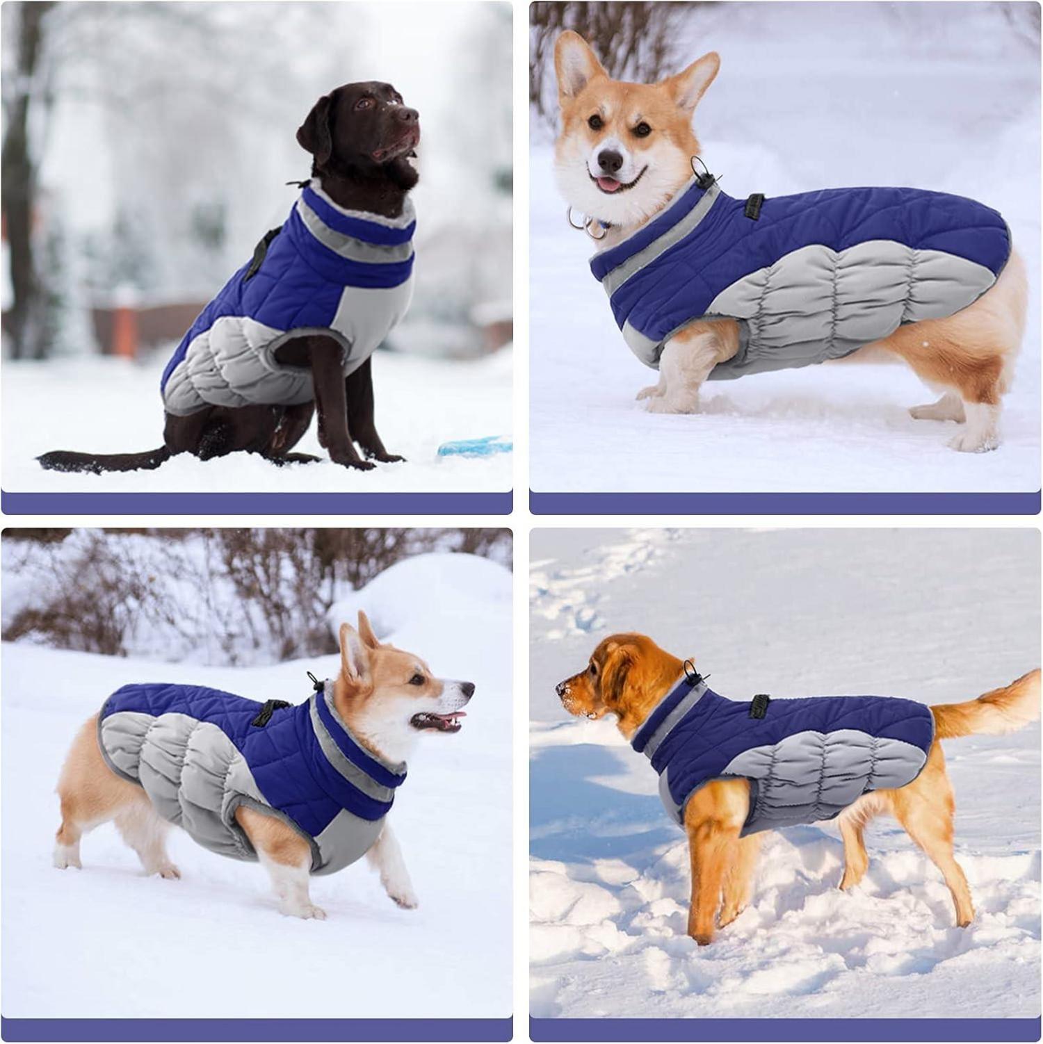 Wasserdichter Hundemantel Winterjacke für Kleine, Mittlere Große Hunde Blau