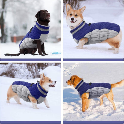 Wasserdichter Hundemantel Winterjacke für Kleine, Mittlere Große Hunde Blau