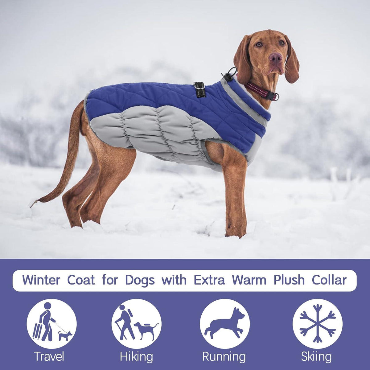 Wasserdichter Hundemantel Winterjacke Fleece Gefüttert Blau XL