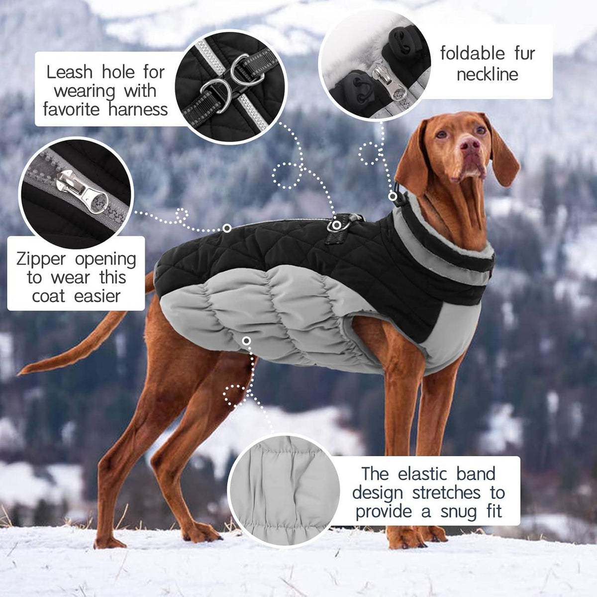 Kuoser Wasserdichter Hundemantel Winterjacke mit Fleecefutter  XS