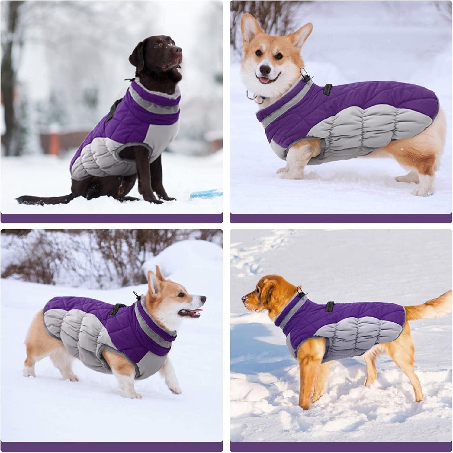 Kuoser Hundemantel Winterjacke Wasserdicht Fleece Reflektierend Lila M