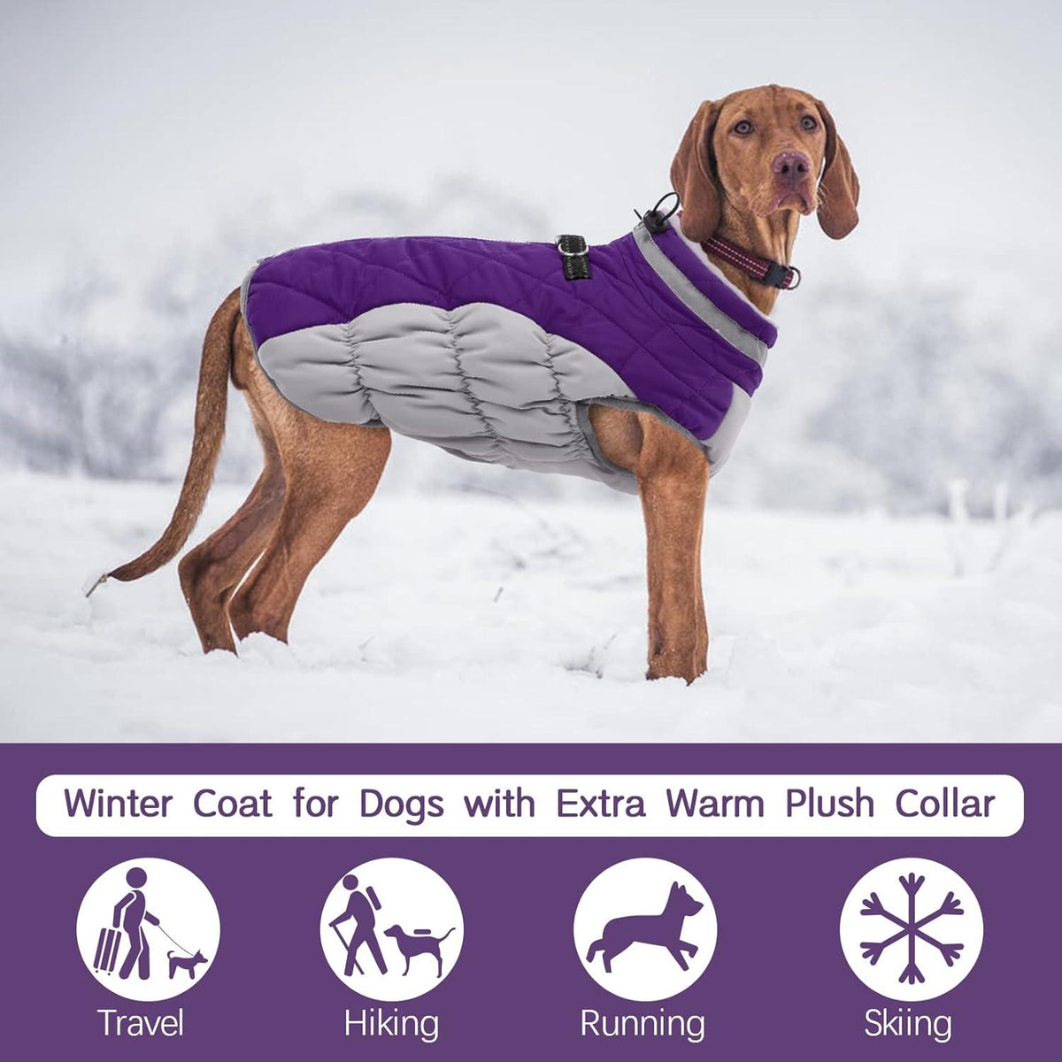 Hundemantel Wasserdicht Winterjacke Fleece Gefüttert Reflektierend Welpen Weste Lila