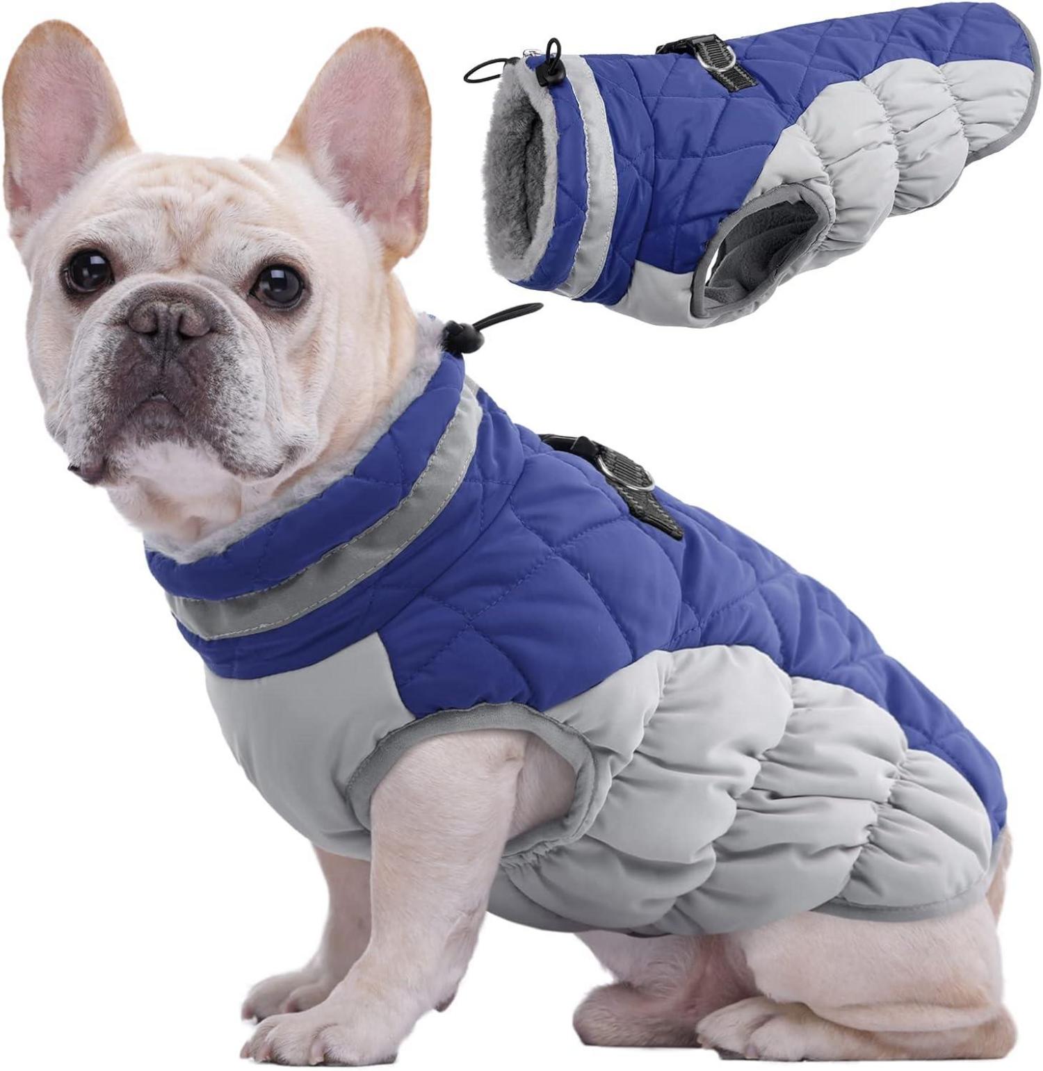 Wasserdichter Hundemantel Winterjacke für Hunde Blau XS-XXXL