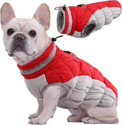 Wasserdichter Hundemantel Winterjacke für Hunde XS Rot