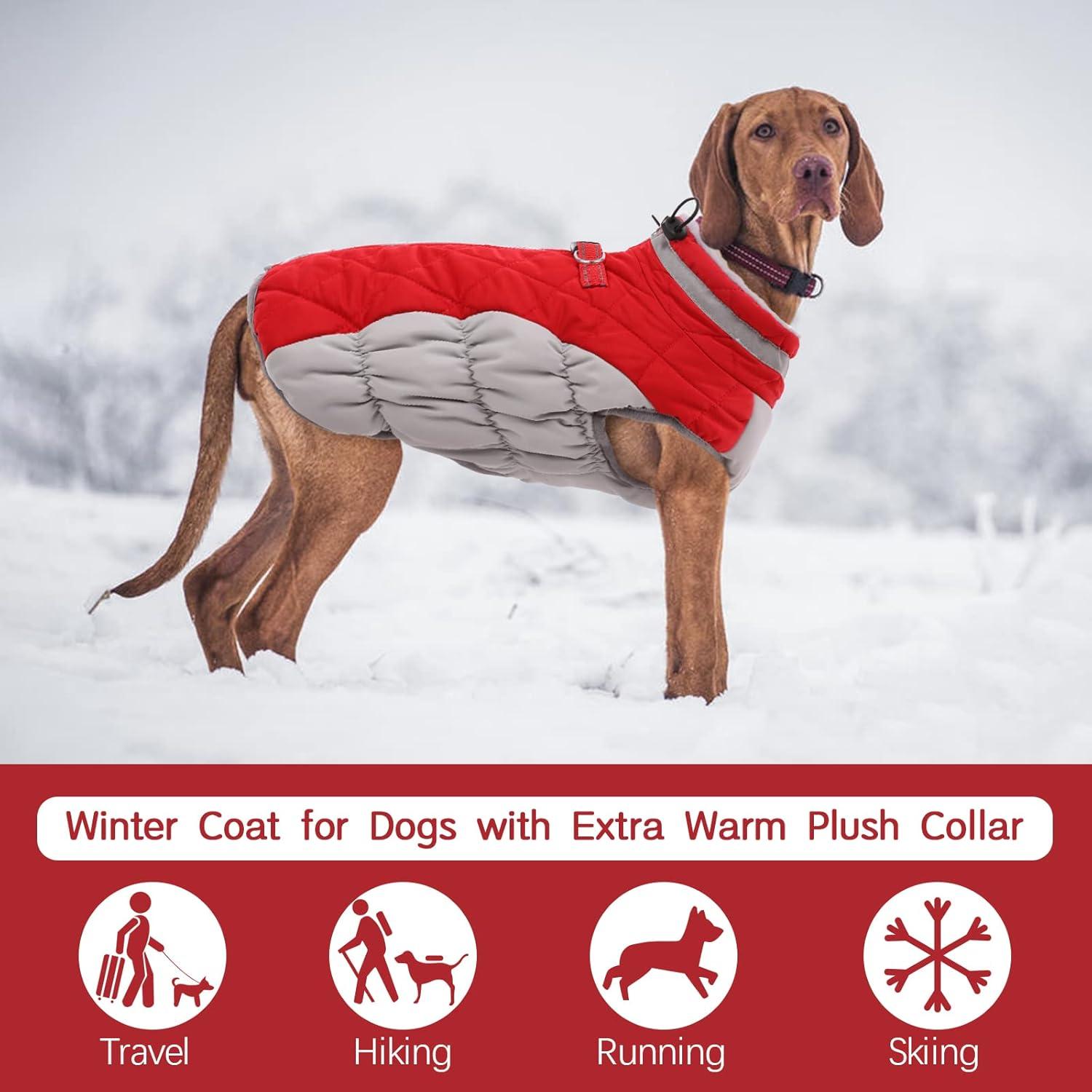 Kuoser Wasserdichter Hundemantel Winter Warme Jacke für Hunde XS Rot