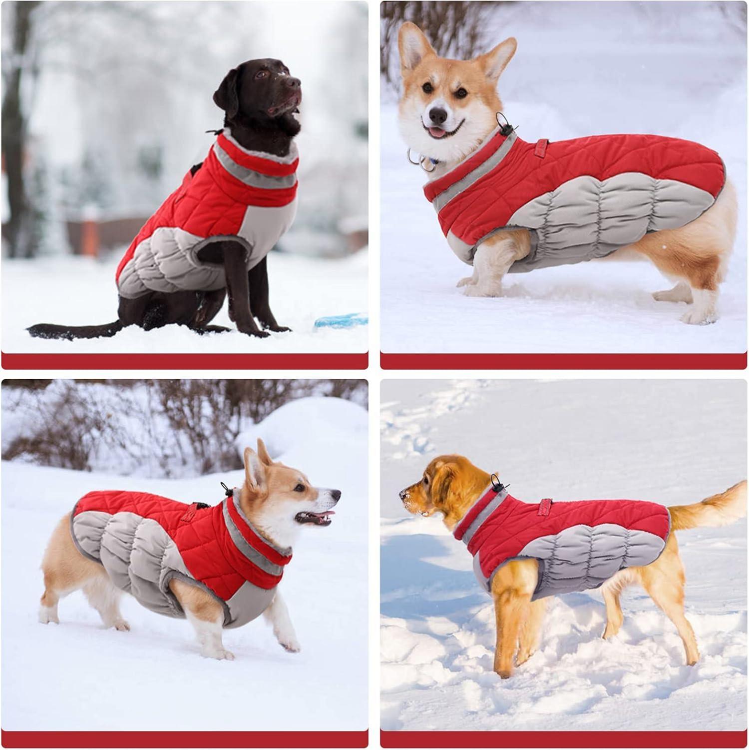 Wasserdichter Hundemantel Winterjacke für Kleine Hunde Rot XS