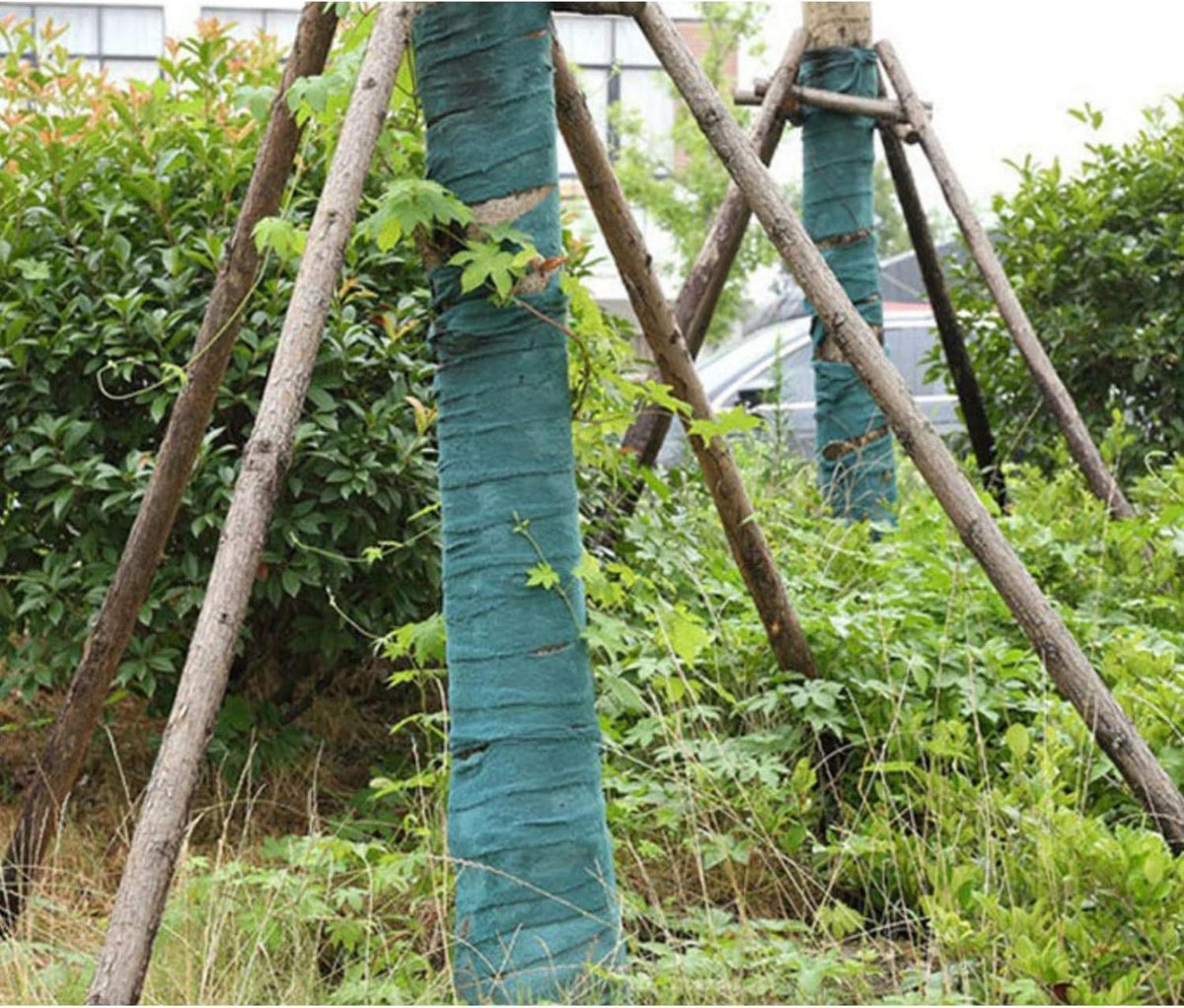 Baum Winterschutz Wickelstreifen 12cm x 20m dick – frostbeständig & atmungsaktiv
