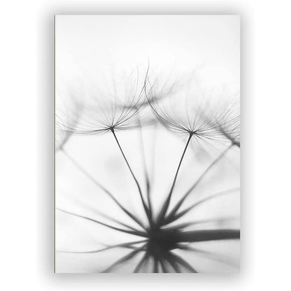 3-teiliges Poster Set Blume Feder Löwenzahn 40x60cm