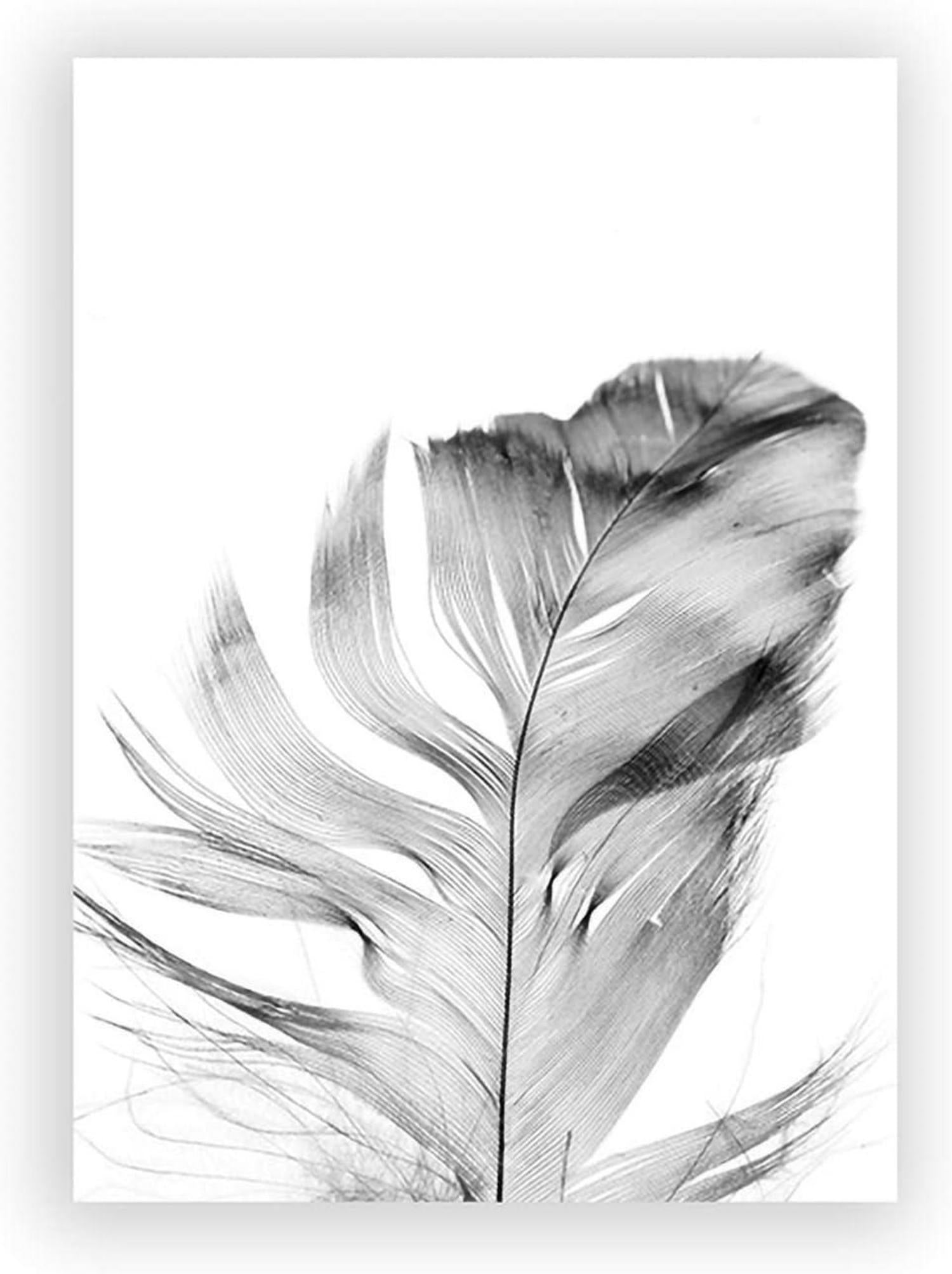 3-teiliges Trayosin Premium Poster Set Schwarz Weiß Blume Feder Wall Art 30x40cm