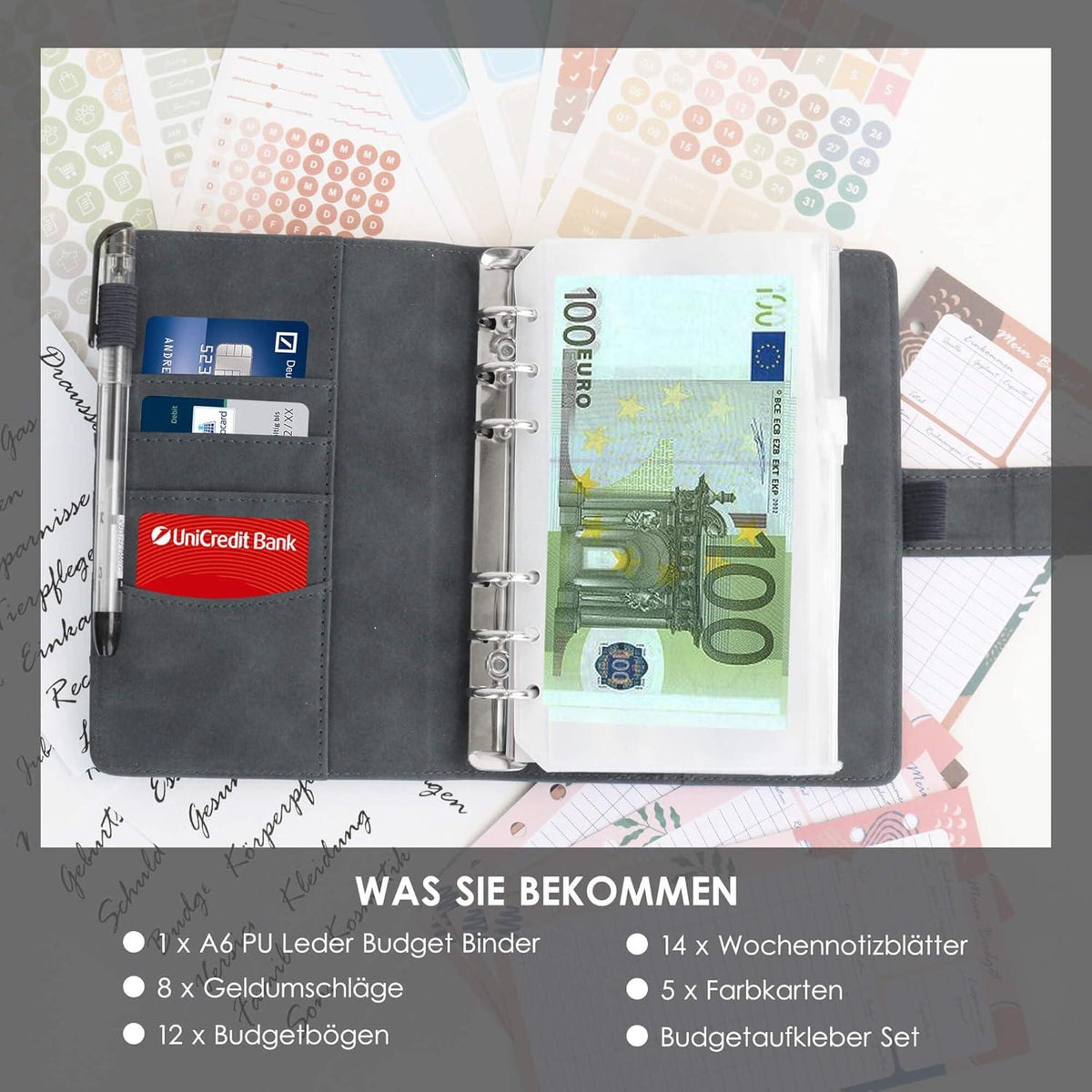 BIROYAL Budget Planner A6 PU Leder Deutsch Startset 12 Duplex Budgetblätter