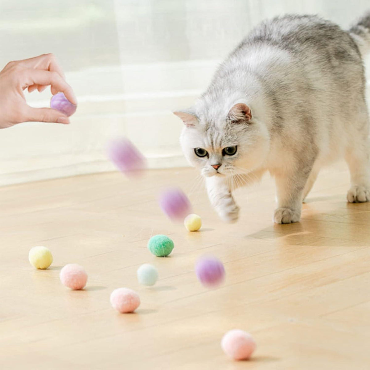 Katzenfilzbälle Bunte Weiche Spielbälle 100 Stück