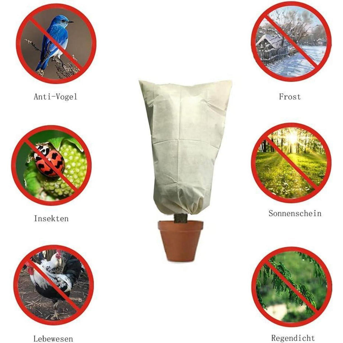Winterschutz Pflanzenabdeckungen Frostschutz 160x240cm (3er-Set)