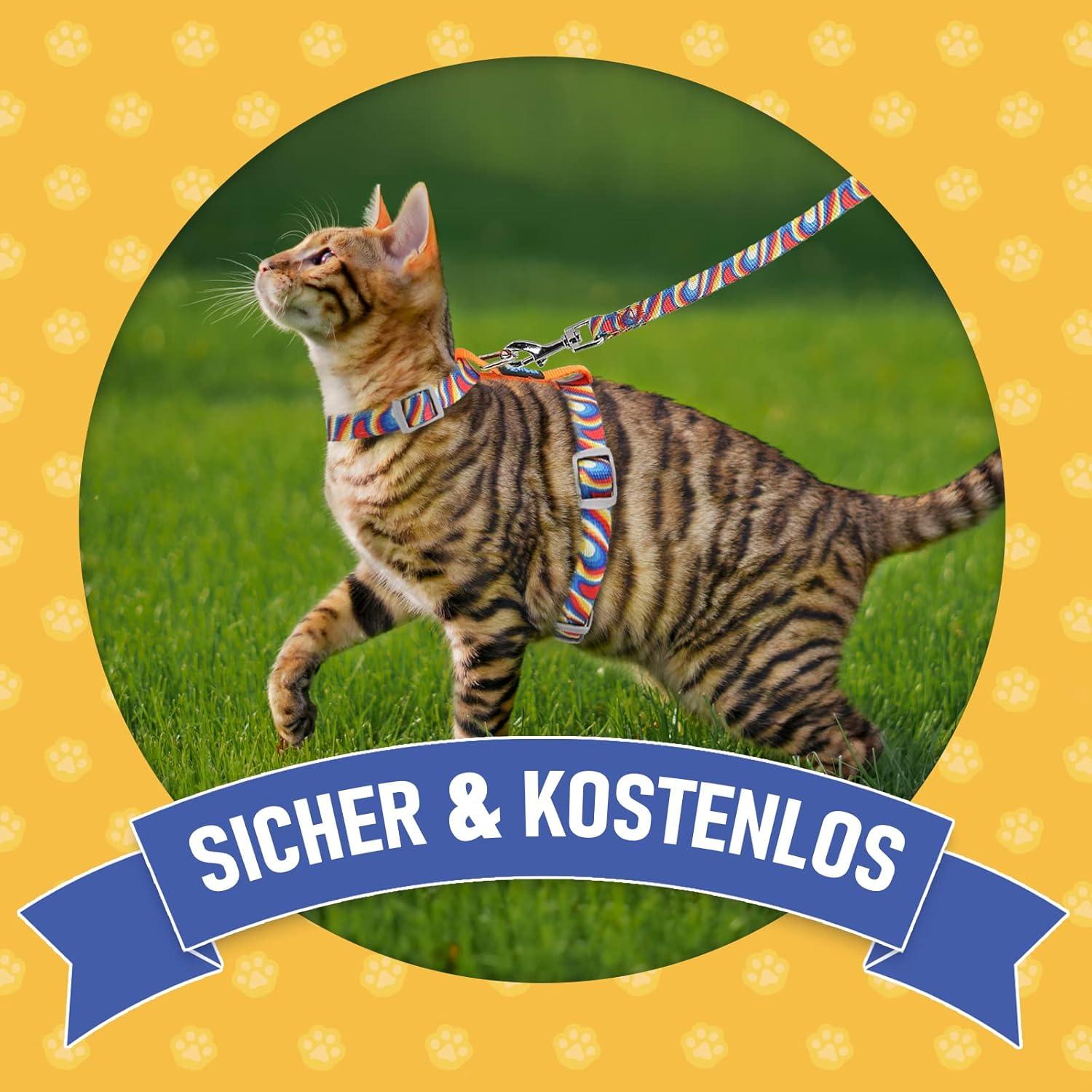 Supet Katzengeschirr und Leine ausbruchsicher verstellbar Katzenweste Orange M