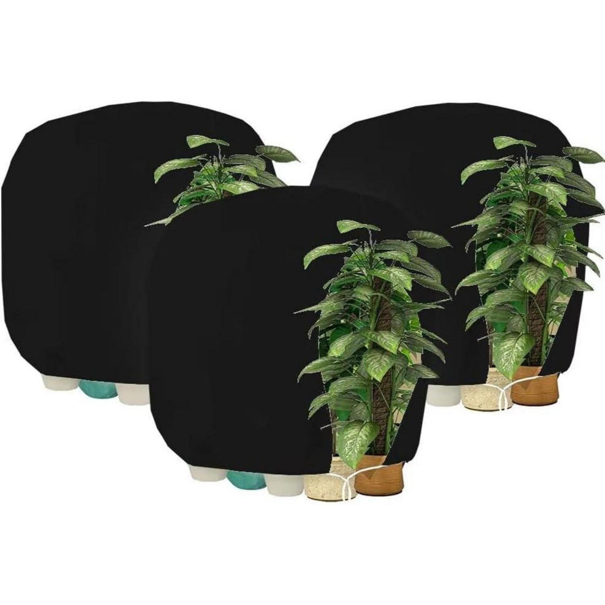 Winterschutz Pflanzenabdeckung 200x240cm - 3er Set