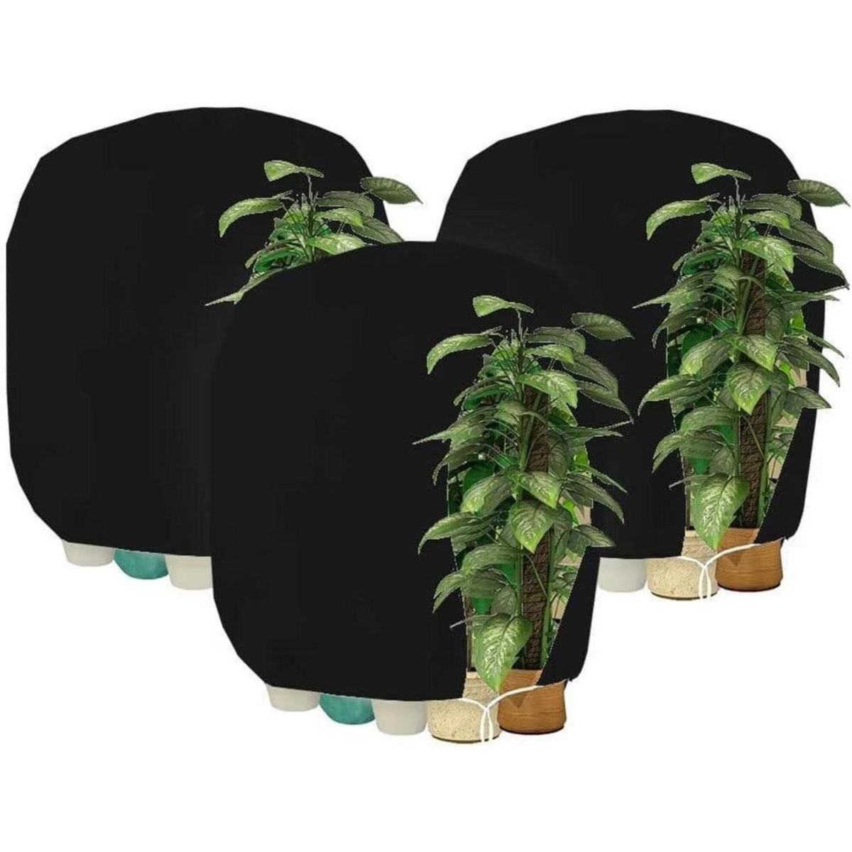 Winterschutz Pflanzenabdeckung 120x180cm - 3er Set