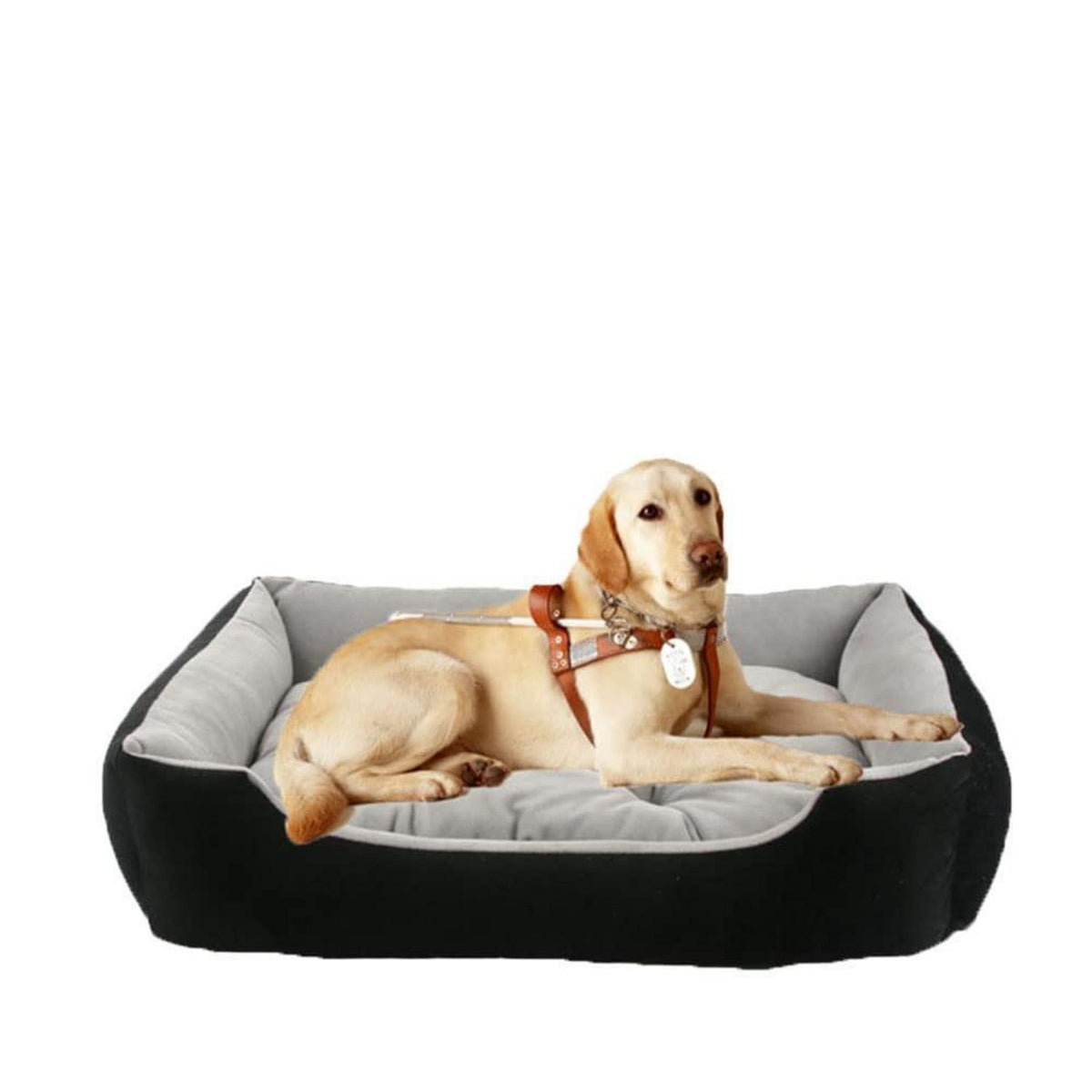 Hundebett 4XL Rutschfest, Waschbar & Komfortabel