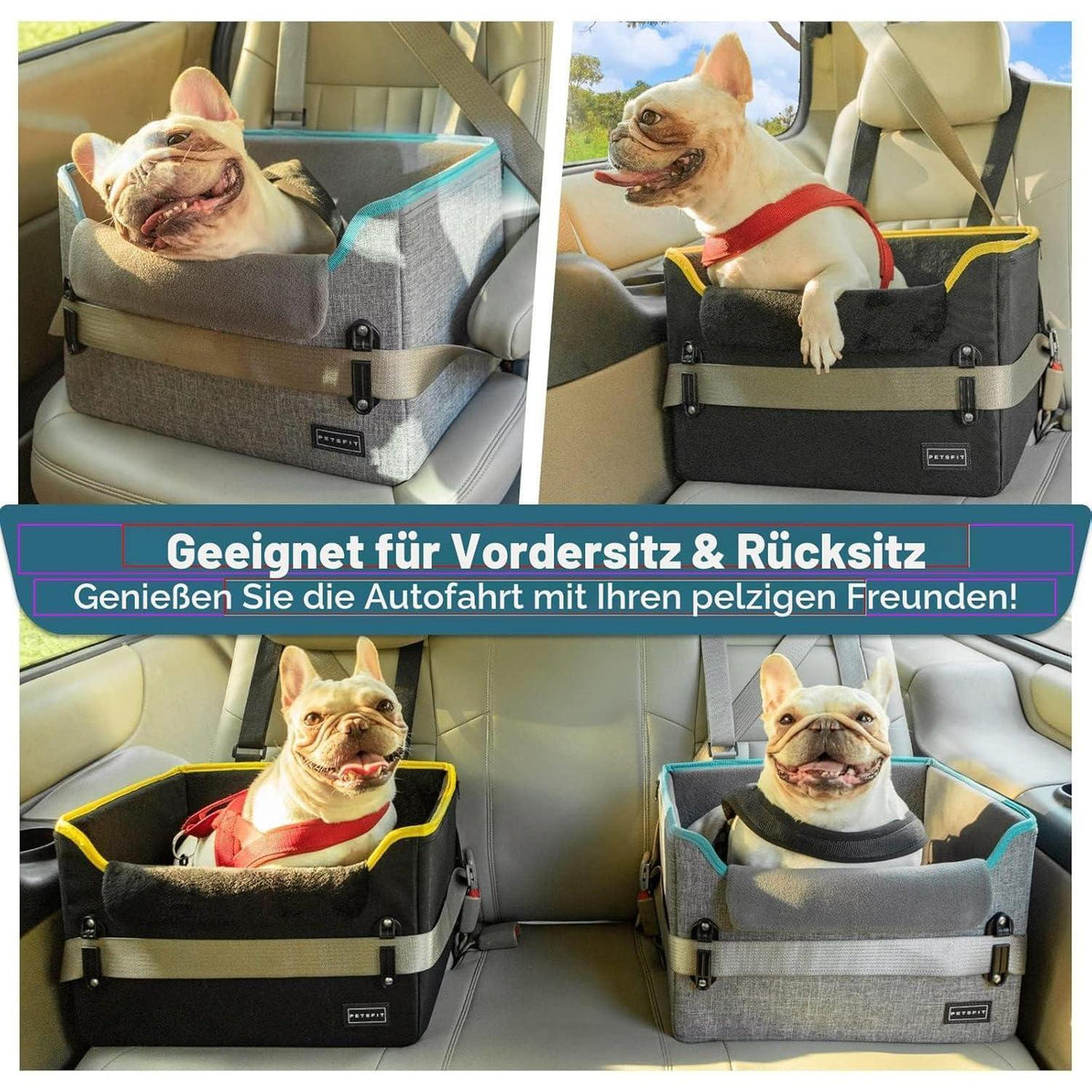 Hunde Autositz für kleine Hunde – Sicher & Komfortabel